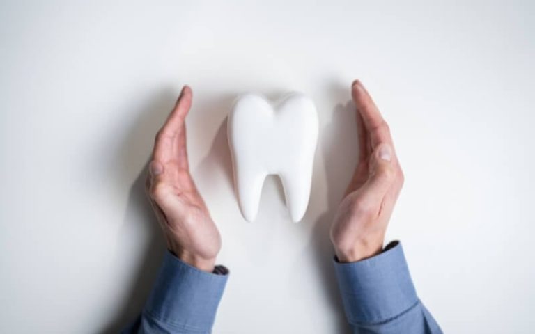 Two hands cupped around a large model tooth