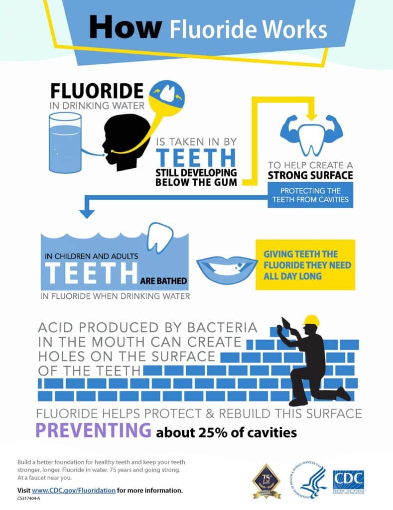 Infographic showing how fluoride in drinking water is taken up by developing teeth, strengthens the tooth surface and helps prevent about 25% of cavities