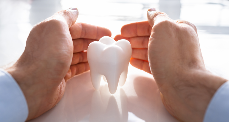 Two hands cupped protectively around a large white model tooth